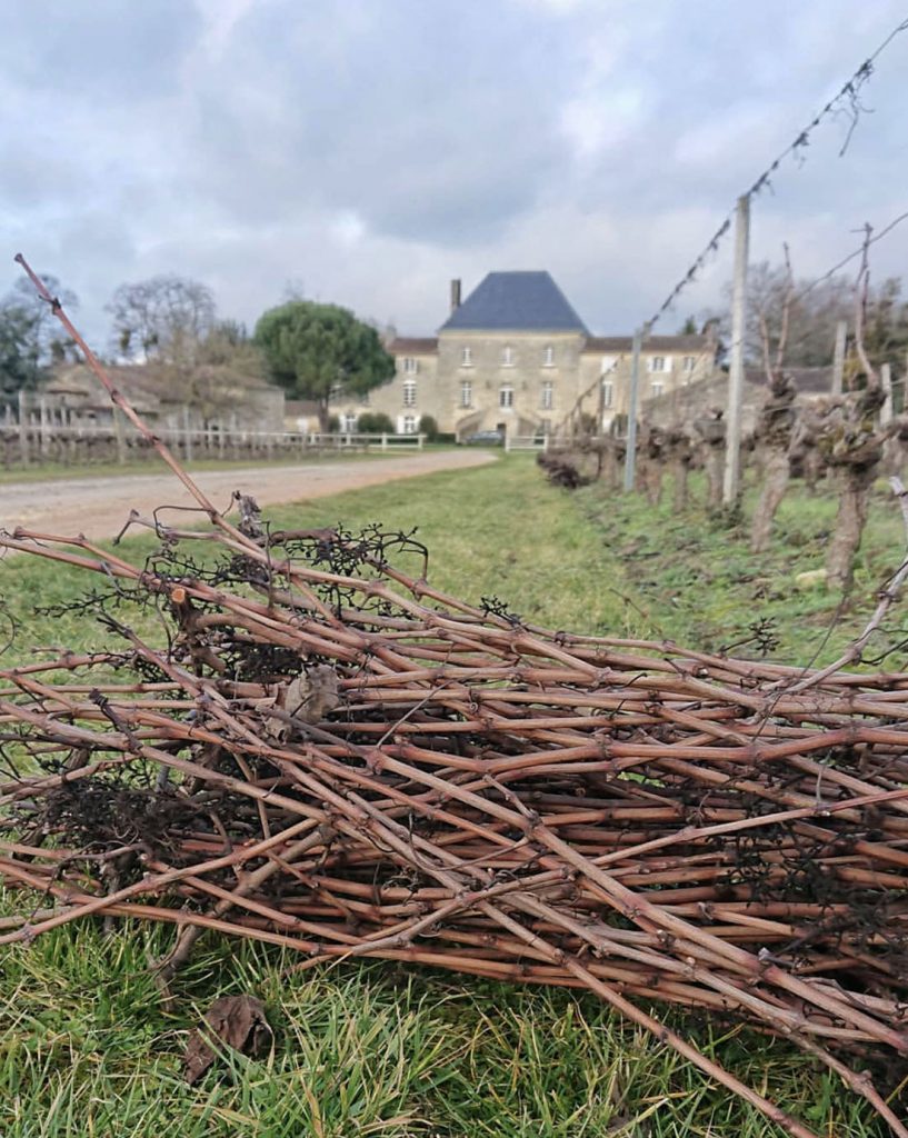 chateau vigneron vignes