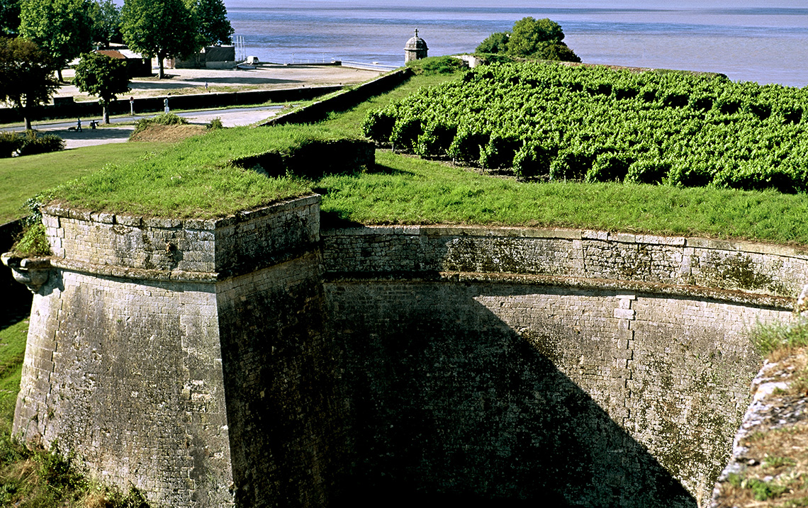 AOC Blaye Die Herkunftsbezeichnung Blaye der BordeauxWeine