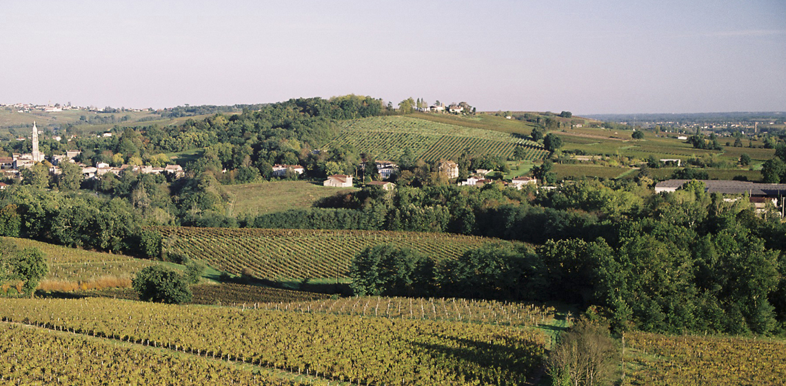 Bordeaux-Haut-Benauge-blanc-doux-5