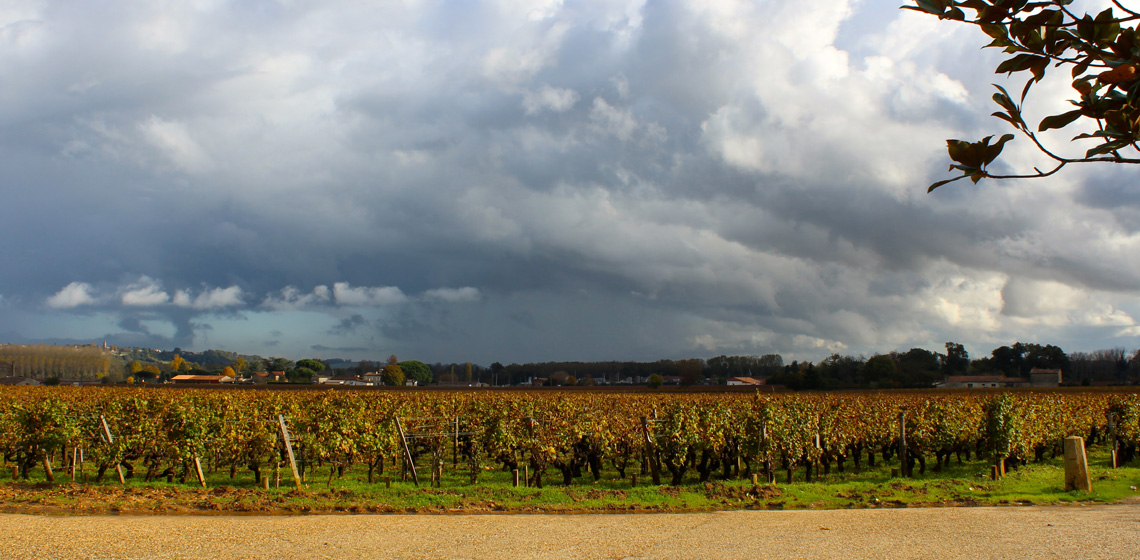 Bordeaux-rouge-1