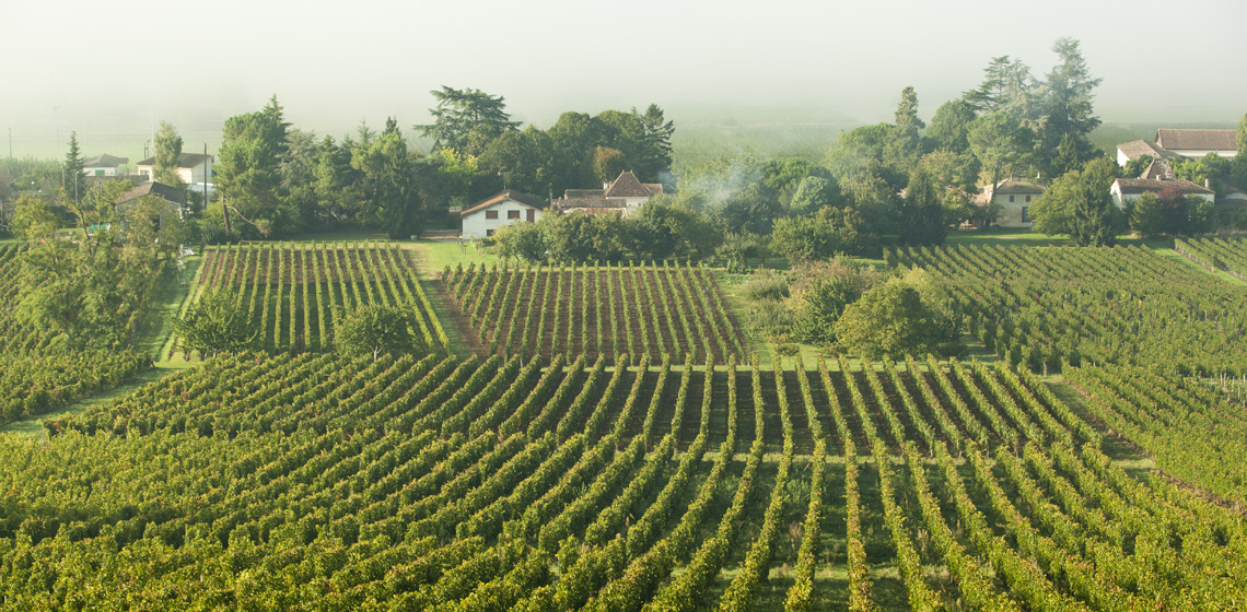 Castillon-Cotes-de-Bordeaux-1