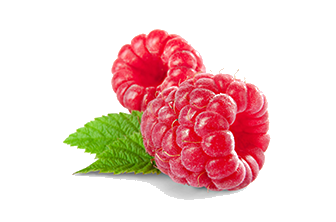 Framboise Site Officiel Bordeaux Com Framboise Site Officiel Bordeaux Com