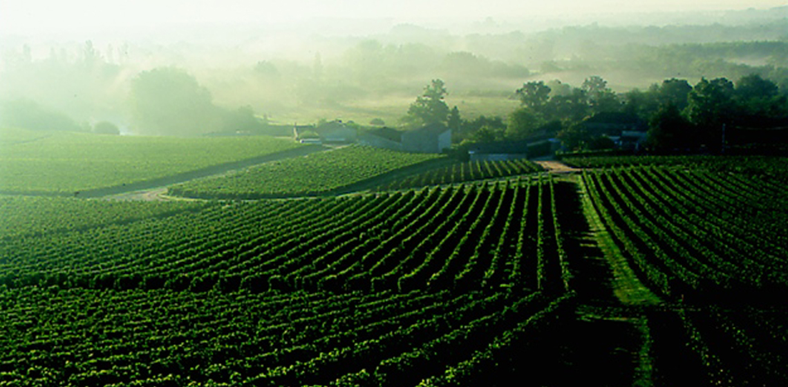 Lalande-De-Pomerol-7