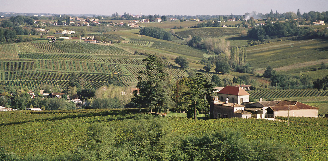 Sainte-Foy-Cotes-de-Bordeaux-rouge-1