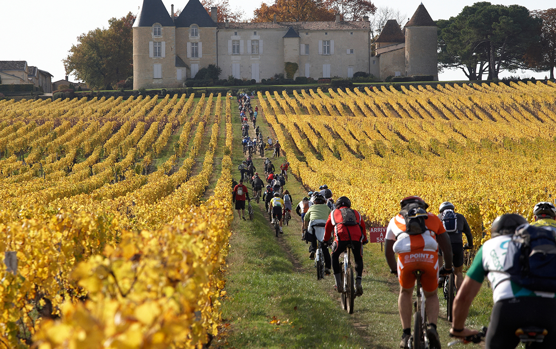 Sauternes Berühmter Süßwein mit Herkunftsbezeichnung