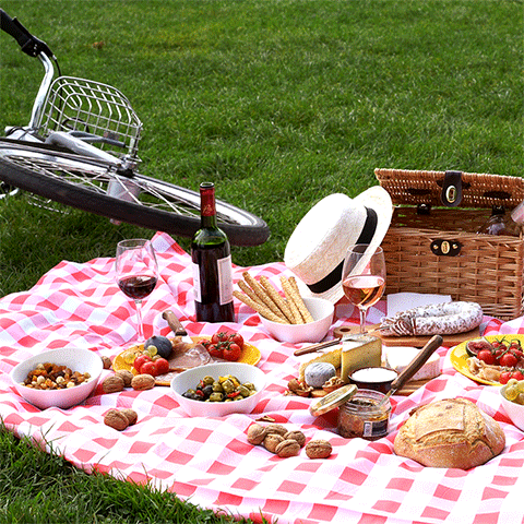 Pic nic in the park