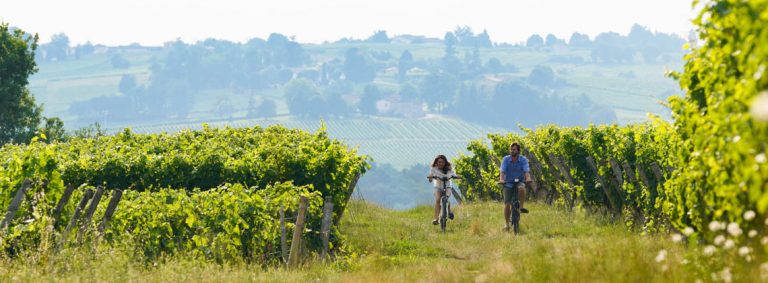 Bordeaux met de fiets: een weekendje fietsen door de wijngaarden