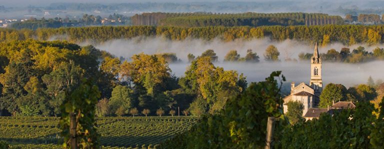 Bordeaux wines’ appellations for beginners