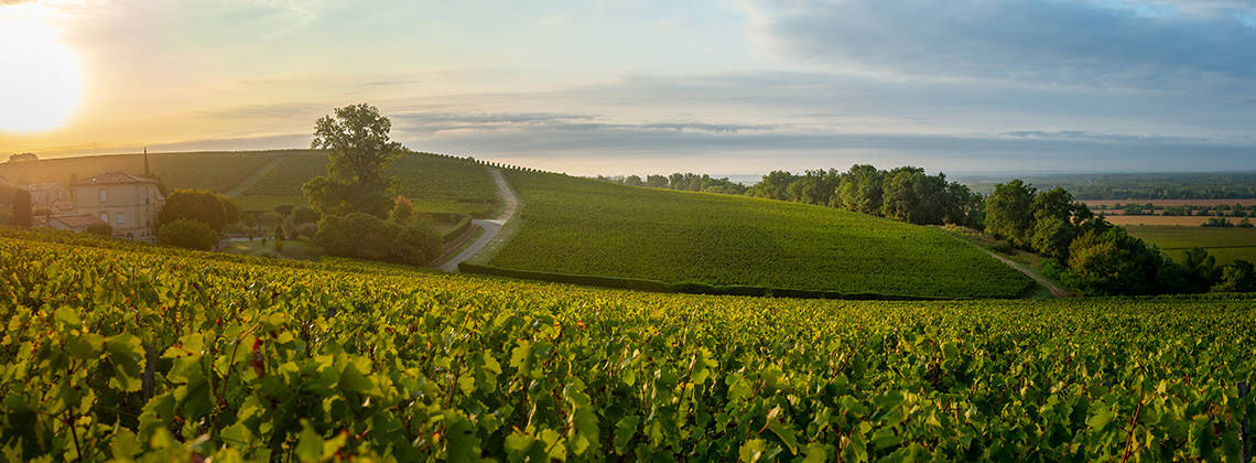 Bordeaux goes green