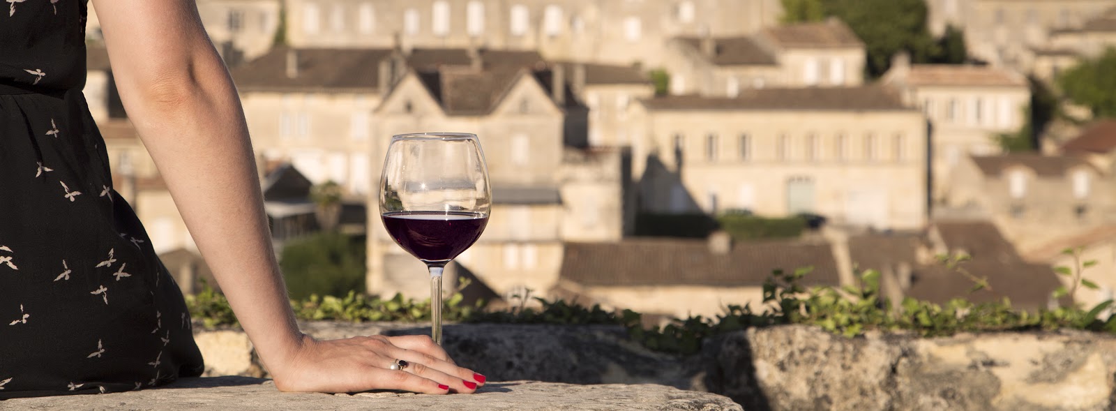 The wines of St-Émilion