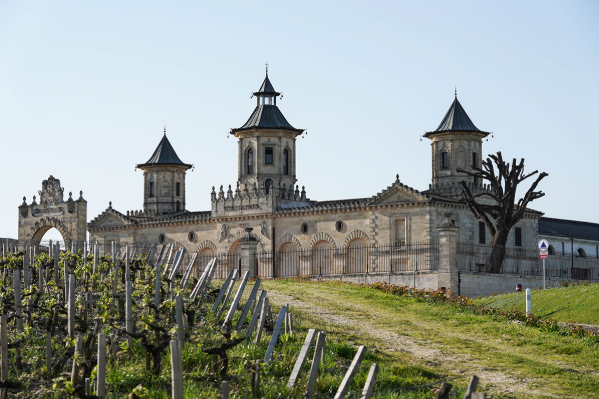 vineyards