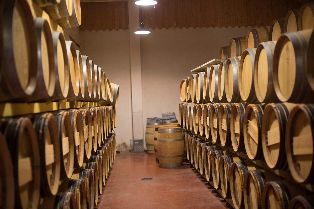 Wein richtig lagern: so geht's!