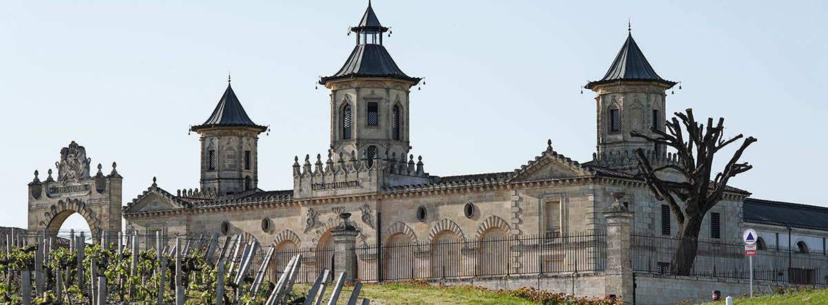 The Médoc and Haut-Médoc wines