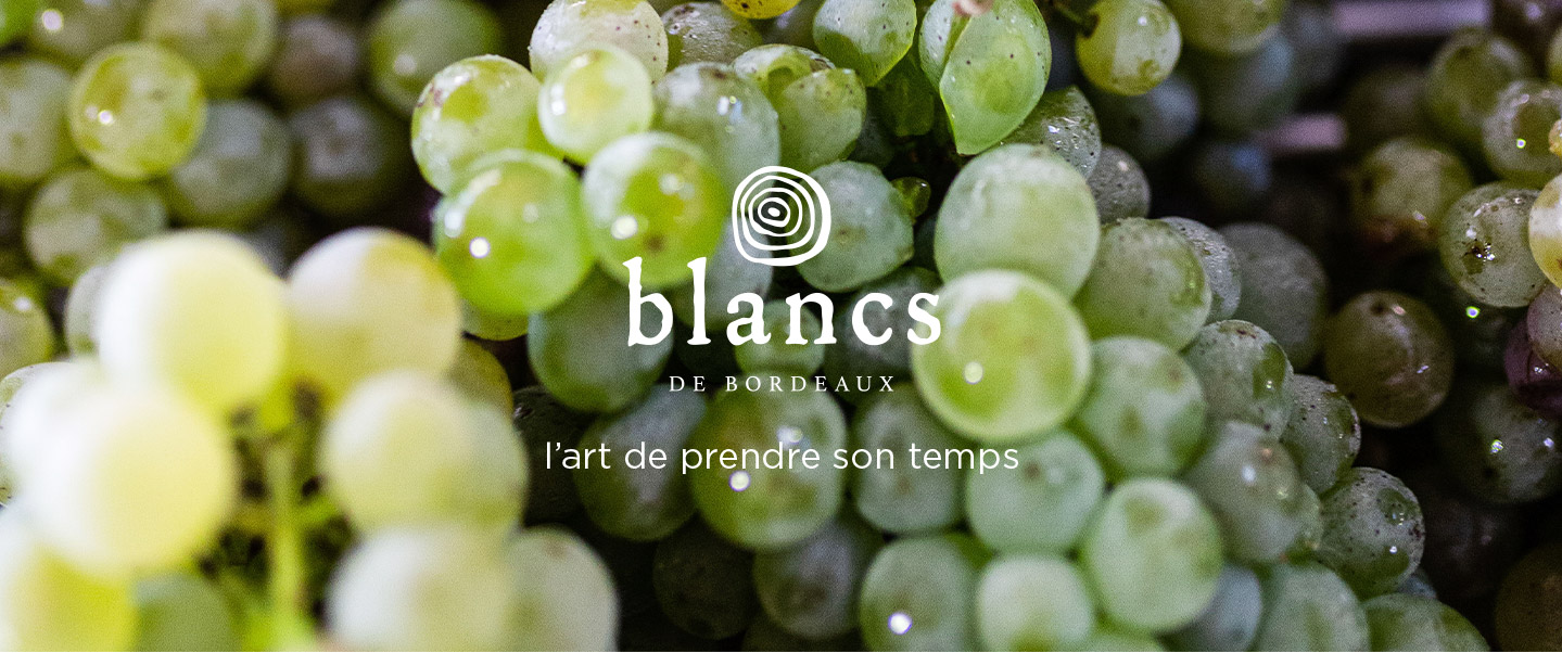 Les vins blancs