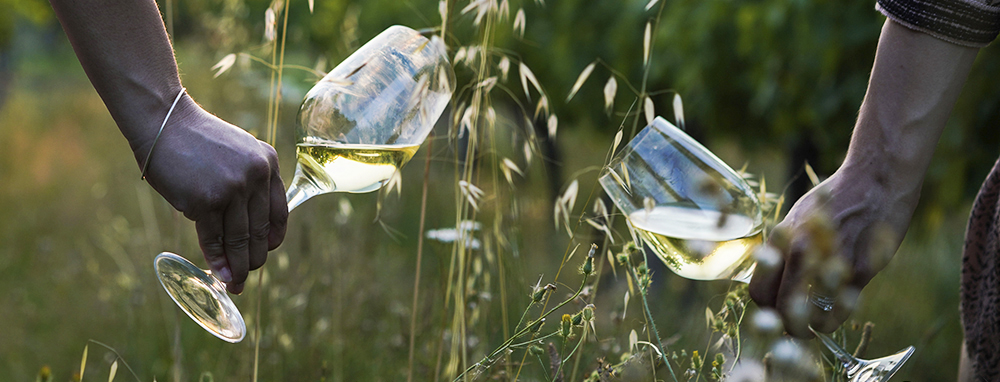 Les vins blancs secs de Bordeaux, l’Art de prendre son temps