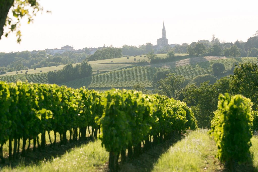 Paysage des Côtes de Bordeaux, près de Haux
