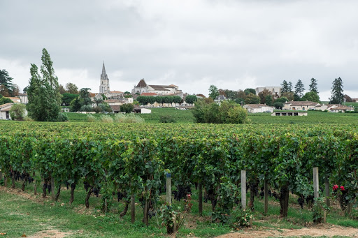 st émilion vignoble