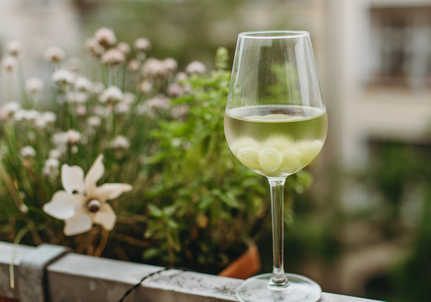 4 Wege, diesen Sommer euren Wein kalt zu halten