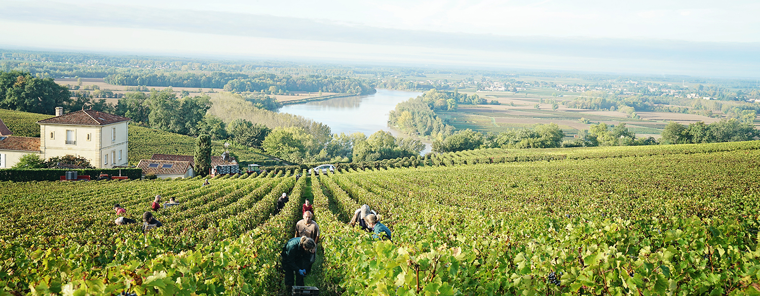 Notre guide pour une semaine à Bordeaux !