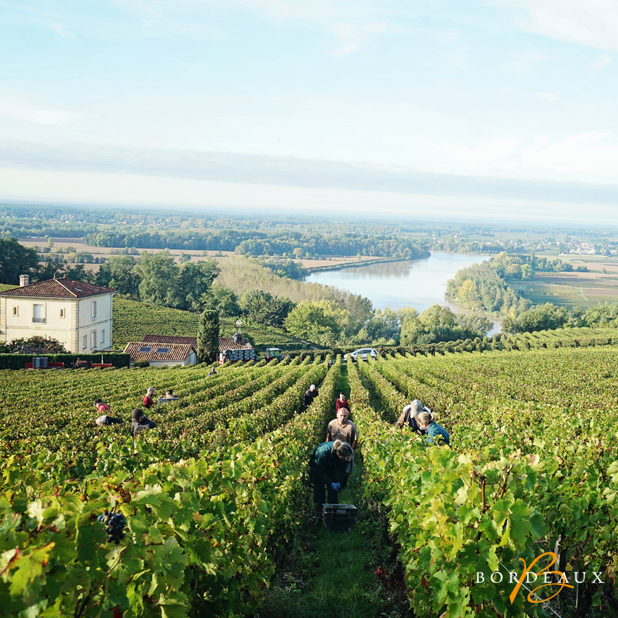 bordeaux voyage semaine