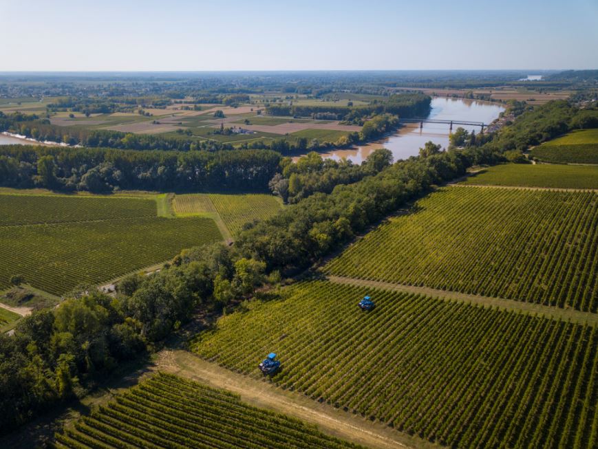 technology in vineyard