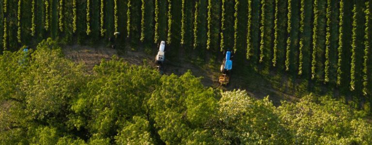 Innovative Technologie im Weinberg