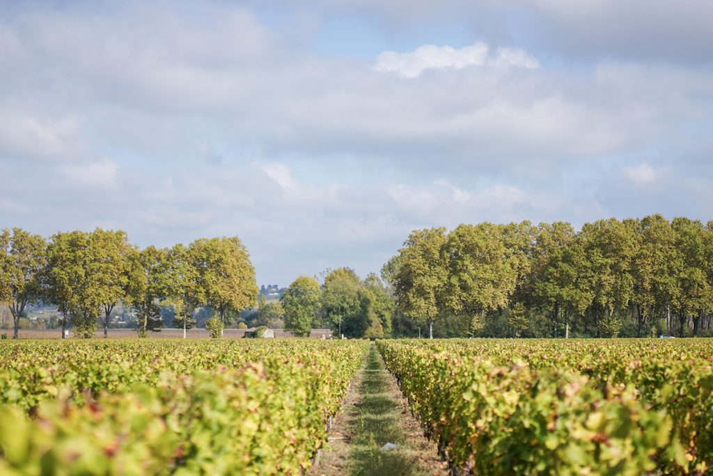 , Voyage dans la région des Graves