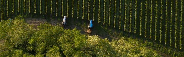 Taking technology to the vineyard