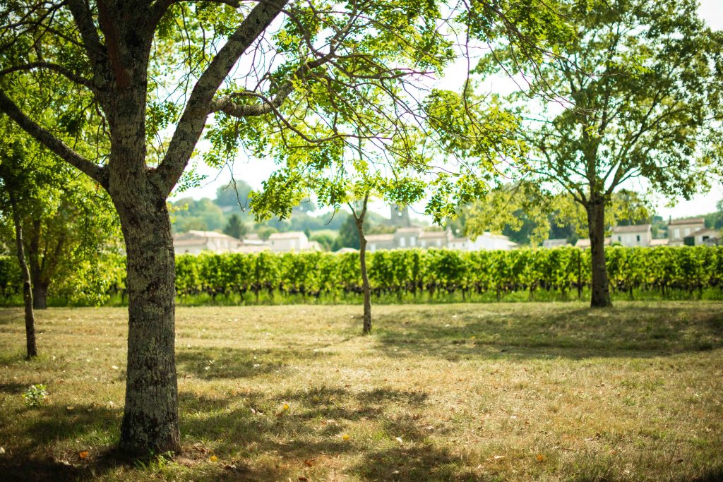 château vignoble biodynamie nature