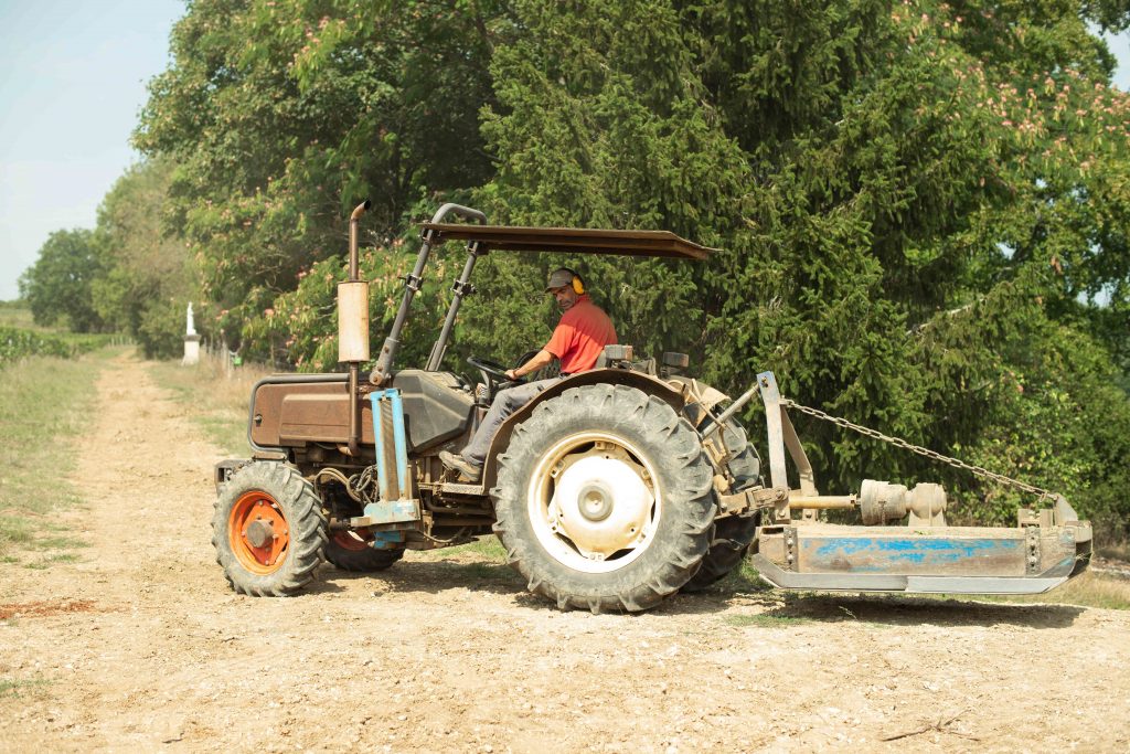 tractor wijnmaker wijngaard boom