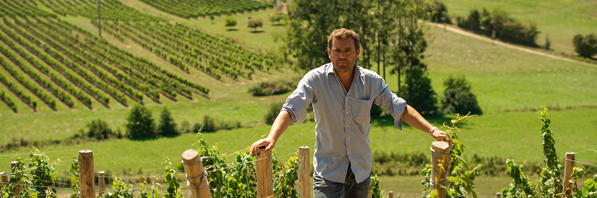 Des vins frais et fruités de l’Entre-Deux-Mers