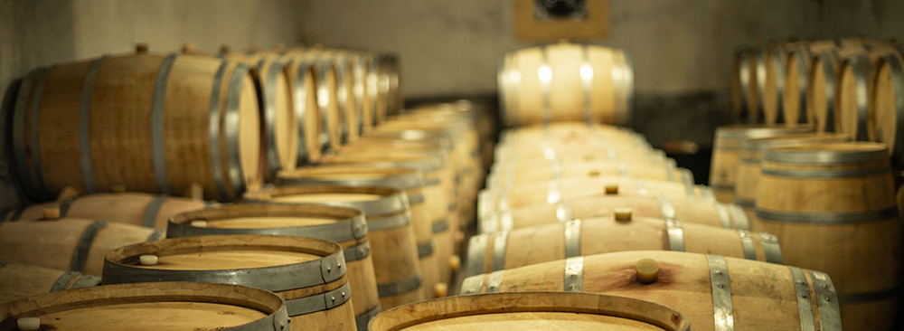 De nieuwe generatie wijnmakers in Bordeaux