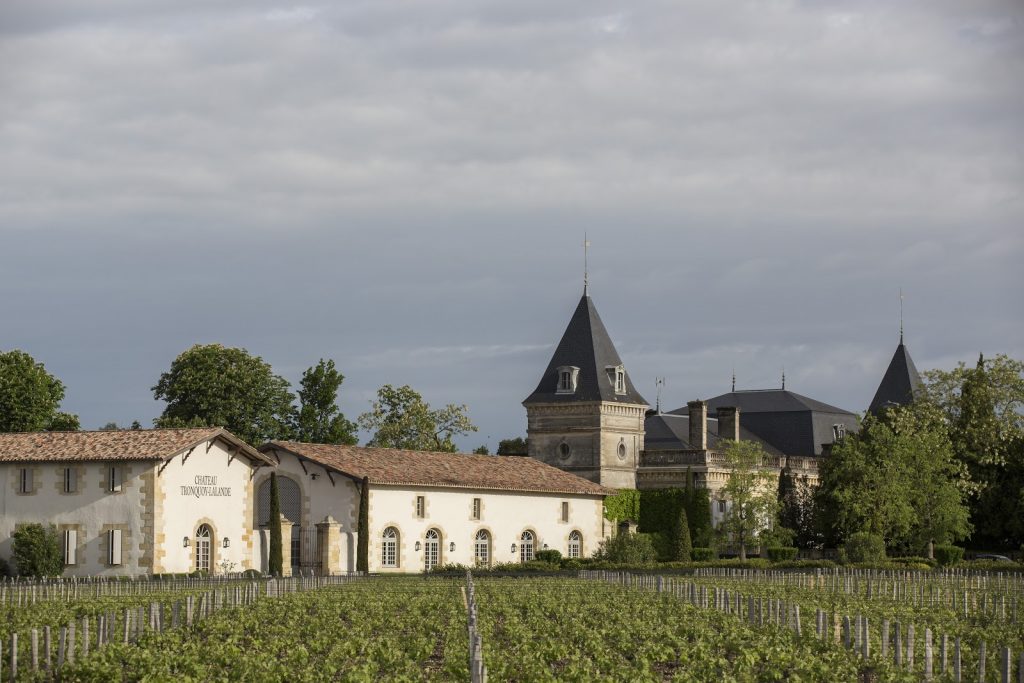 bordeaux vineyards landscape