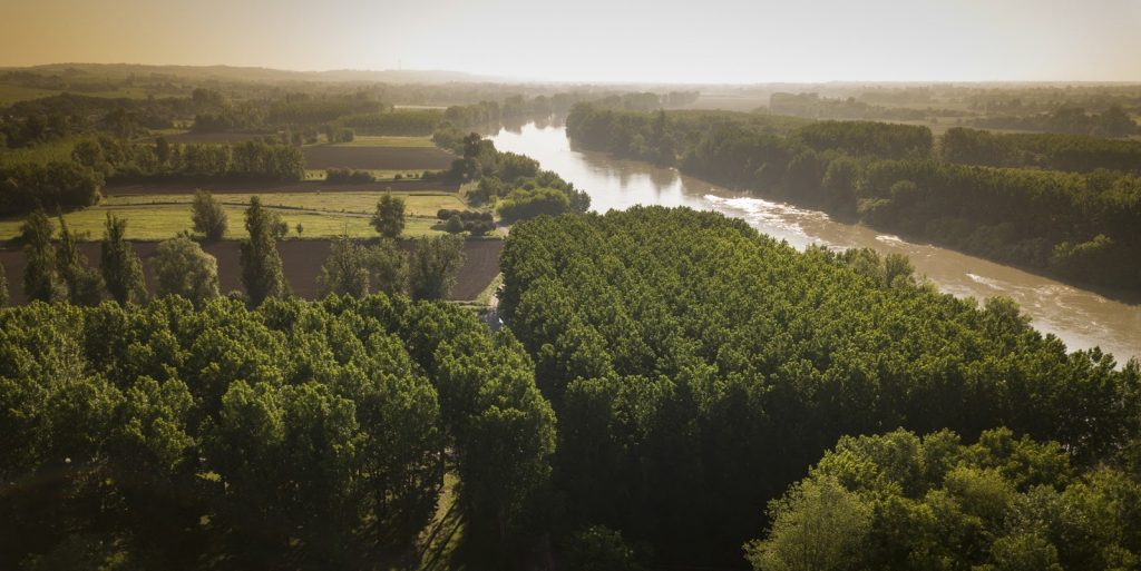 bordeaux vineyards landscape