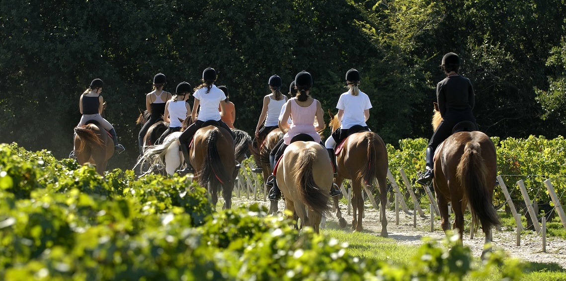 Portes Ouvertes des châteaux 2020
