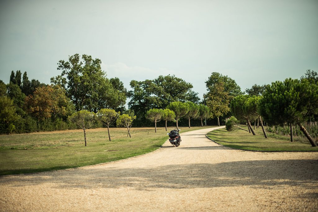 vignoble moto arbres