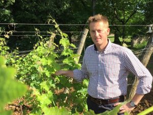 Alexander Hall, creator of Bespoke Bordeaux wine tours