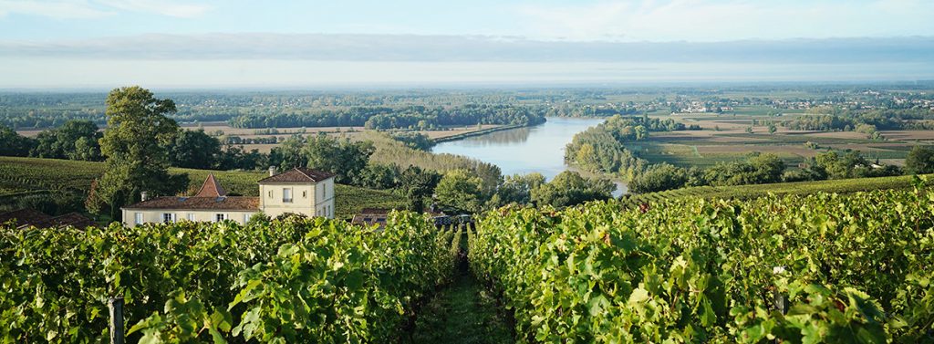 CHATEAU BIAC VENDANGES bordeaux vineyards