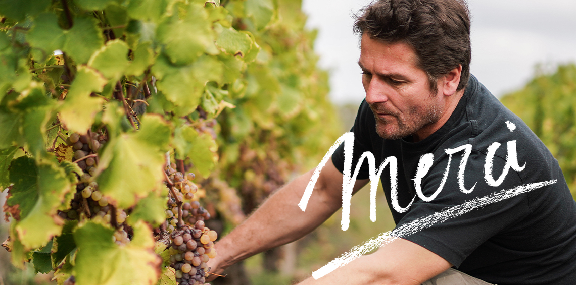 Les vins de Bordeaux disent MERCI aux soignants