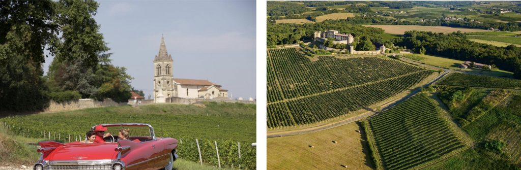 voiture vignoble paysage