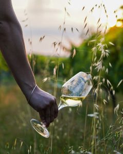 white wine glass bordeaux