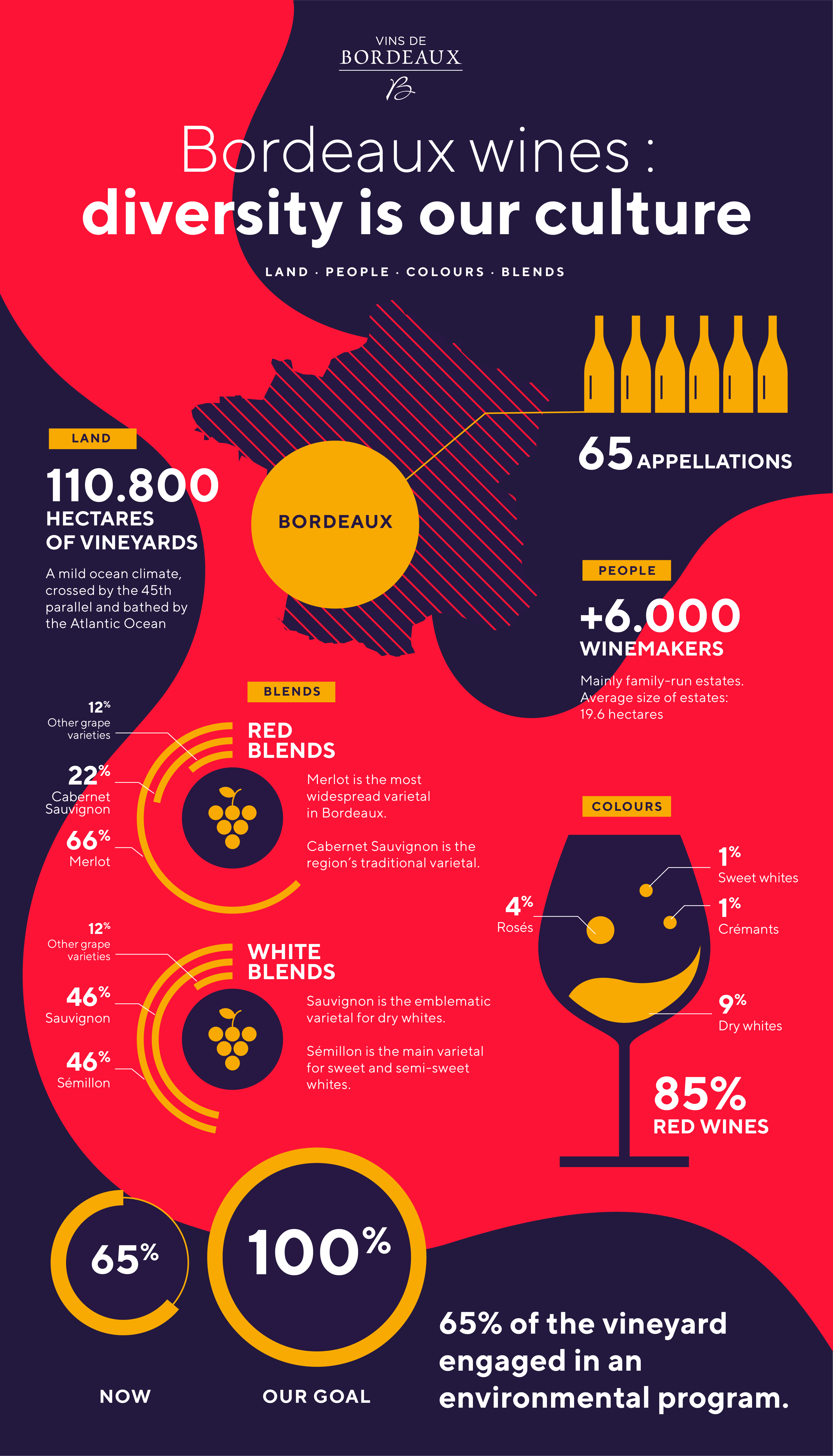 Infographic Bordeaux Wines
