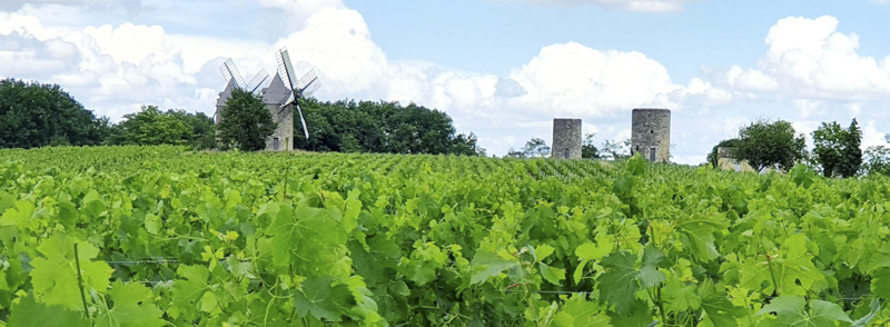 John Brunton’s Crémant de Bordeaux wine trail