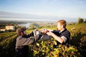 Hommes-Vendanges-Château-Vignes