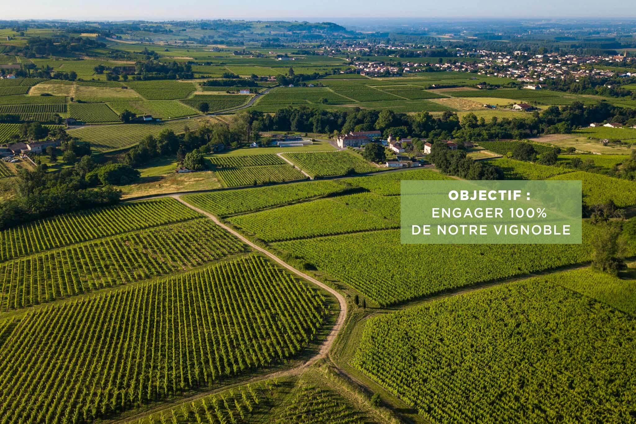 75% du vignoble bordelais est certifié par une démarche environnementale