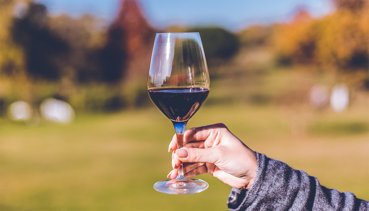 5 Bordeaux Weine die perfekt zu deinen Problemen passen