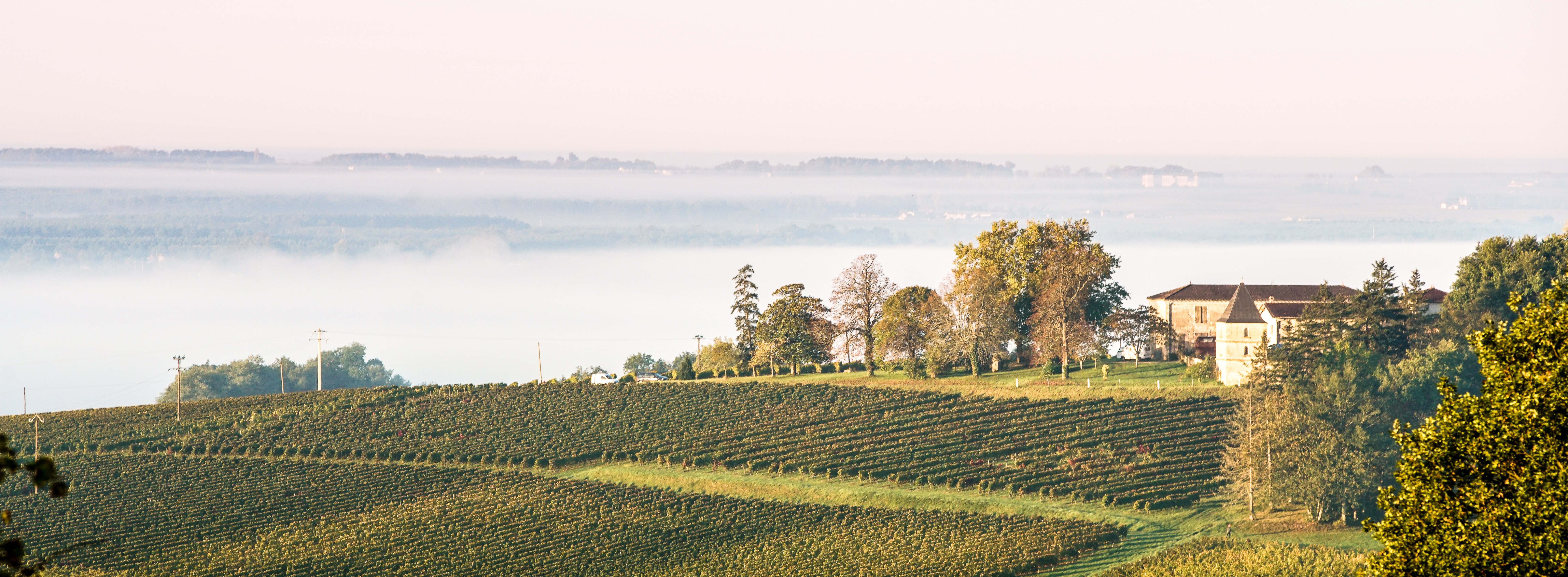 La facette bio de Bordeaux