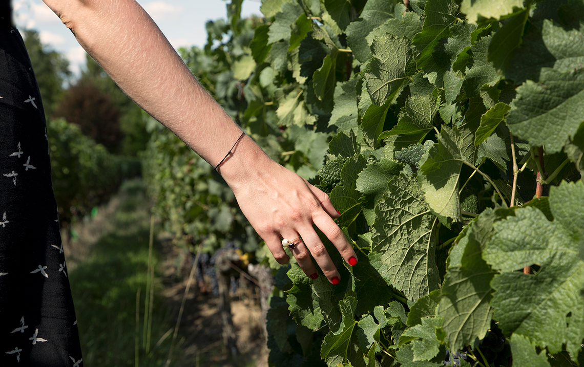 Sisters stories au cœur du vignoble