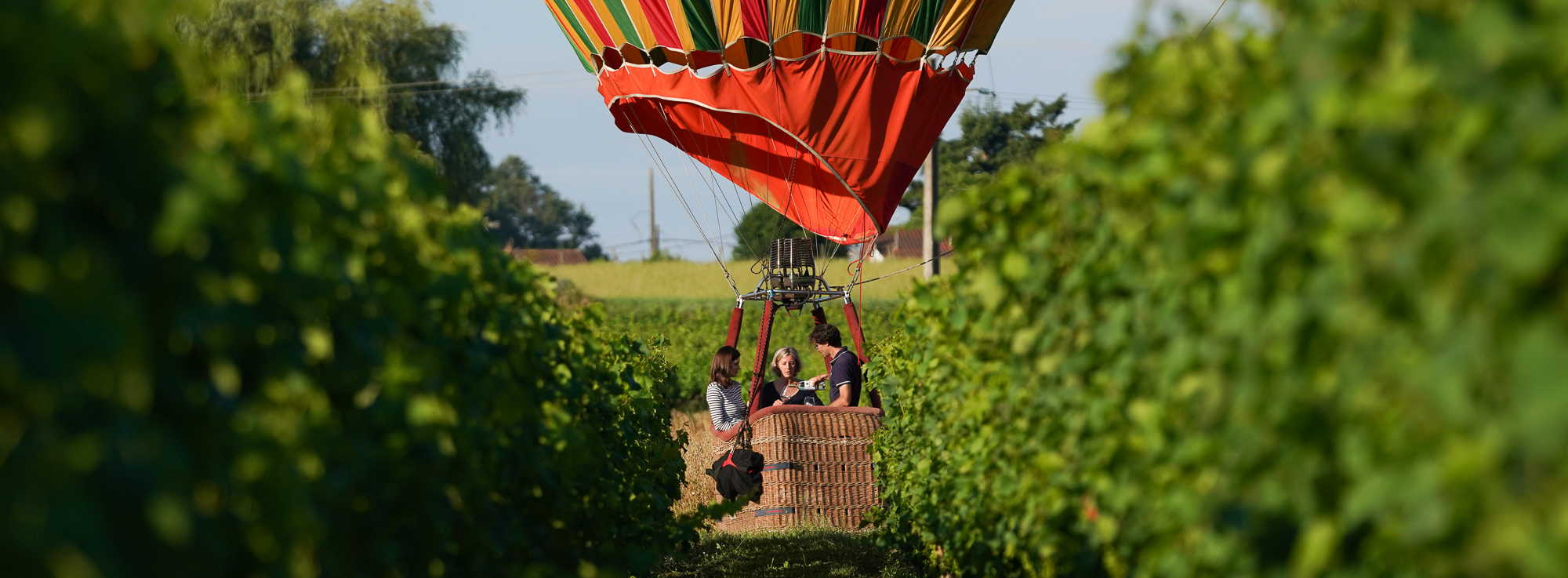 Vier originele activiteiten in Bordeaux