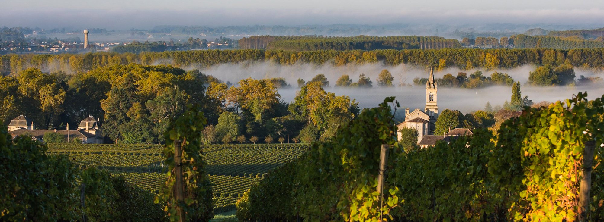 Makkelijke gids voor appellations uit Bordeaux